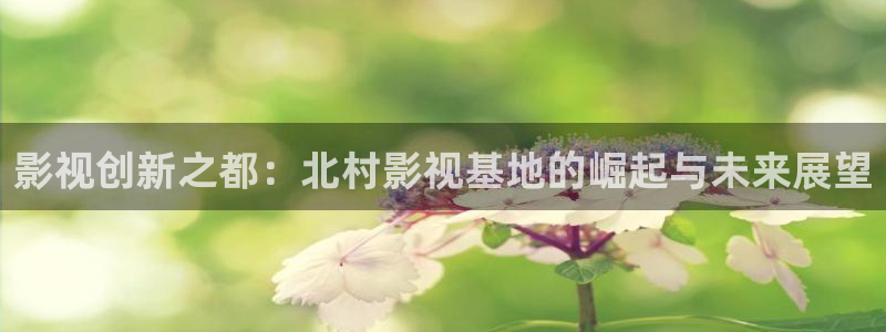 奇奇影院下载：影视创新之都：北村影视基地的崛起与未来展望