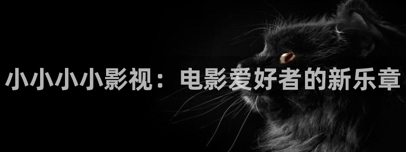 奇奇影院免费在线看：小小小小影视：电影爱好者的新乐章